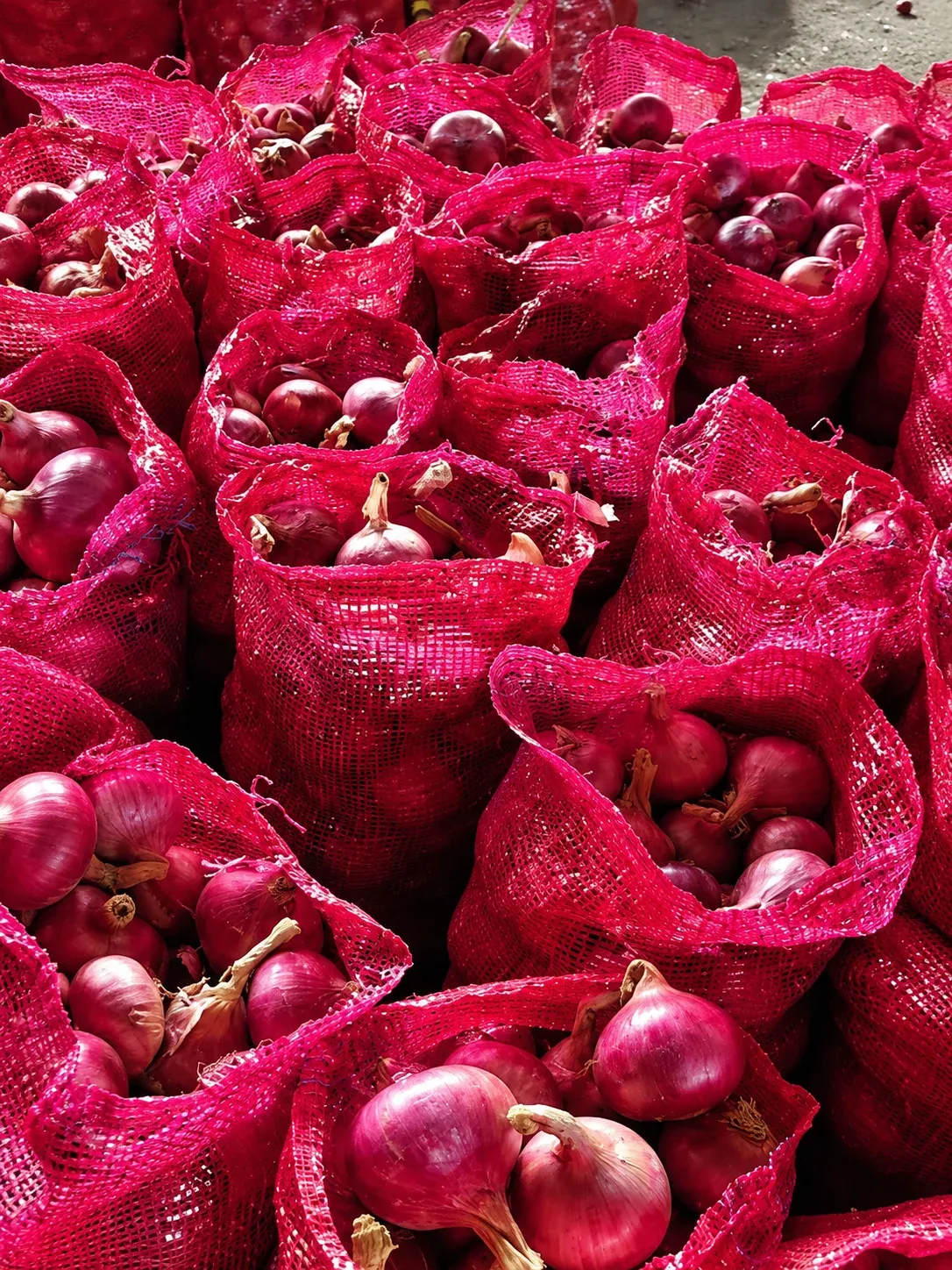 Onion Product