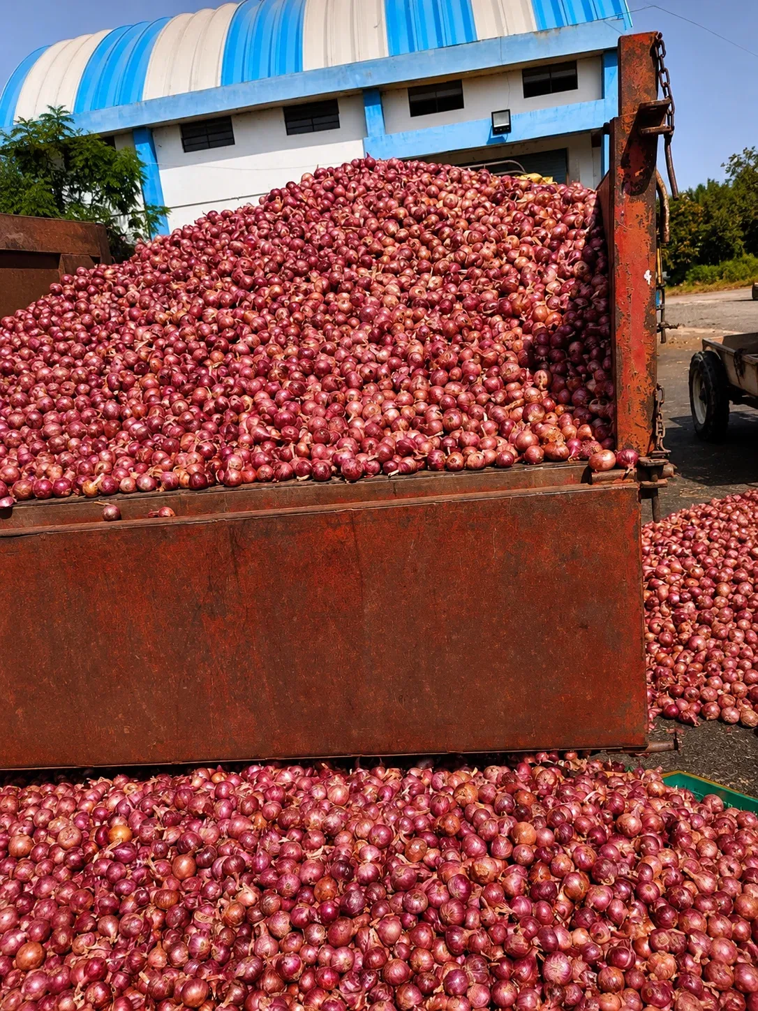 Onion Product