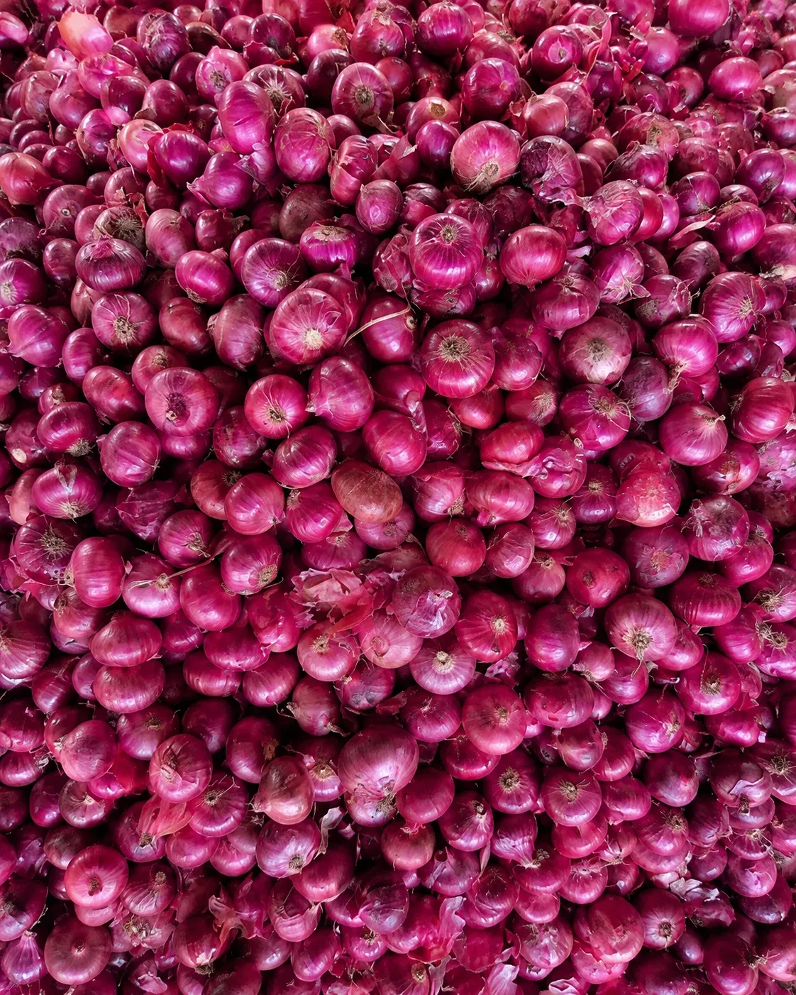 Onion Product